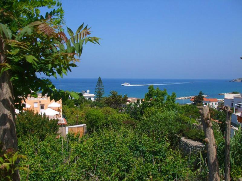 Forio di Ischia Albergo Villa Hibiscus מראה חיצוני תמונה