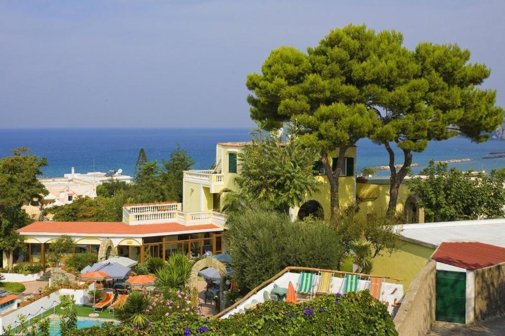 Forio di Ischia Albergo Villa Hibiscus מראה חיצוני תמונה