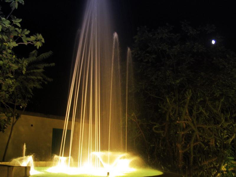 Forio di Ischia Albergo Villa Hibiscus מראה חיצוני תמונה